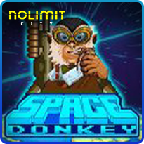 SPACE DONKEY
